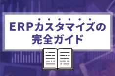 ERPカスタマイズの完全ガイド